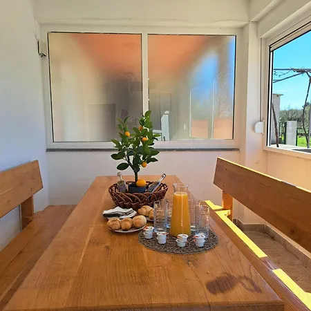 公寓 House Stari Put With Pool 诺维格勒达尔马提亚