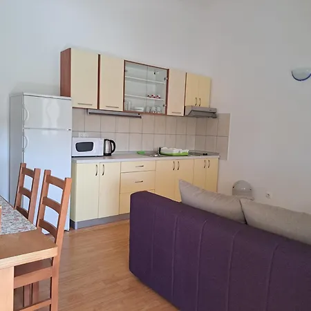 House Stari Put With Pool 诺维格勒达尔马提亚