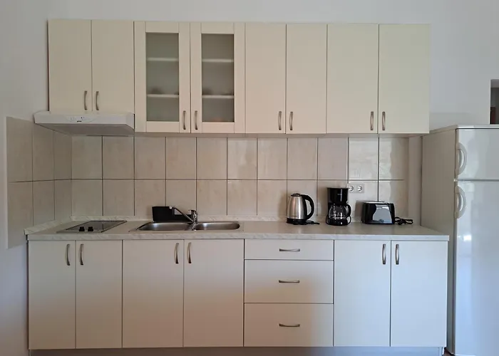 House Stari Put With Pool Appartement *